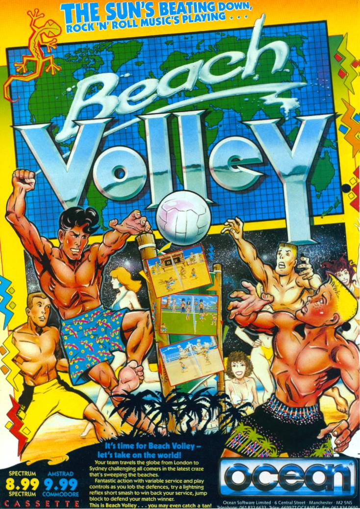 Screen from Beach Volley