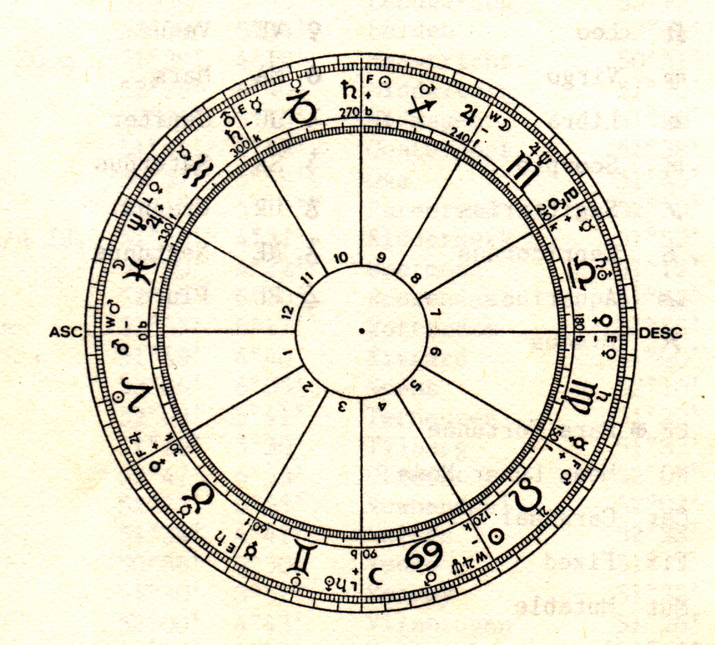 Screen from Radix VII