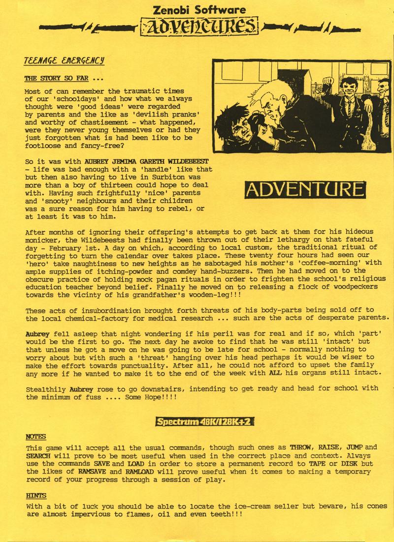 Screen from Teenage Emergency