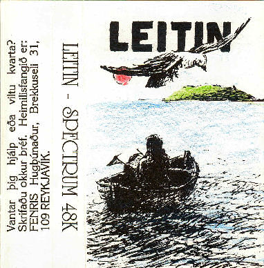 Screen from Leitin