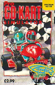 Screen from Professional Go-Kart Simulator