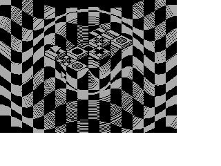 Screen from 3D-Roost