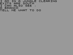 Screen from Adventure B: Inca Curse