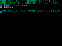 Screen from Adventure H: Robin Hood