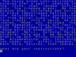 Screen from Afghan Attack