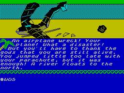 Screen from Amazon Adventure