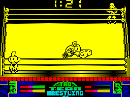 Screen from American Tag Team Wrestling
