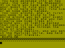 Screen from The Anamagon's Temple