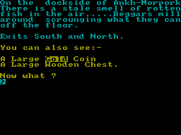 Screen from Ankh-Morpork