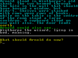 Screen from Arnold the Adventurer III
