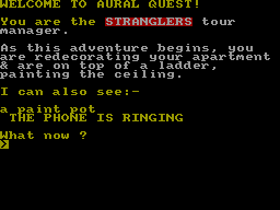 Screen from Aural Quest