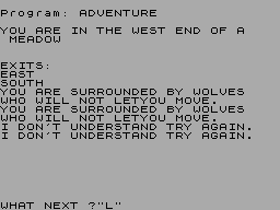Screen from Beacon Adventure