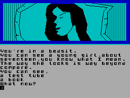 Screen from Beatle Quest