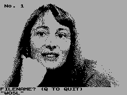 Screen from Bernieclips
