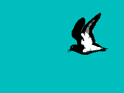 Screen from The Bird