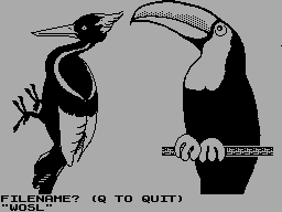 Screen from Birdieclip