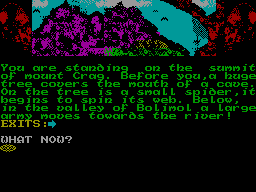 Screen from The Blood of Bogmole