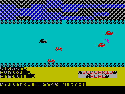 Screen from Bodorrio Real