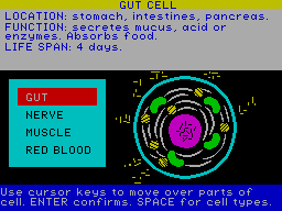 Screen from Body Works