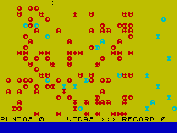 Screen from Bomba