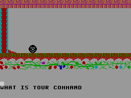 Screen from Bunker Swamp