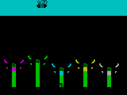 Screen from Buzzy Bee
