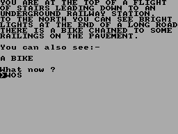 Screen from Carl Young's Adventure