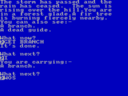 Screen from Castle Warlock