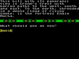Screen from Celtic Carnage