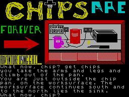 Screen from Chips Are Forever