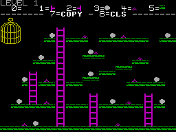 Screen from Chuckie Egg Editor