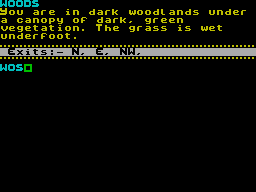 Screen from The Citadel