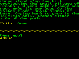 Screen from Corya the Warrior-Sage