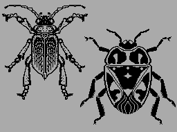 Screen from Creepy-Crawly Clipart