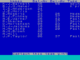 Screen from Cricket Challenge