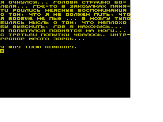 Screen from Crystal Dream Members in East Ukrainian State University
