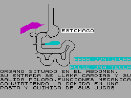 Screen from Digestivo y Cuerpo