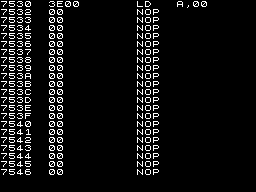 Screen from Disassembler