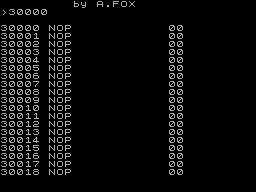 Screen from Disassembler