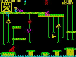 Screen from Donkey Kong Jr.