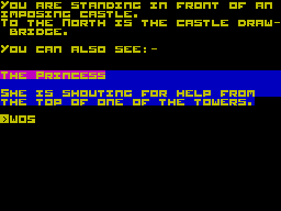 Screen from Doom Castle
