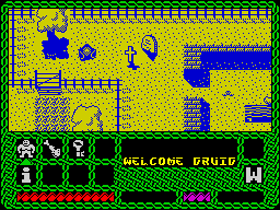 Screen from Druid II: Enlightenment