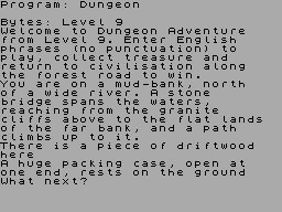 Screen from Dungeon Adventure