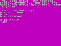 Screen from Easy Peasy Adventure