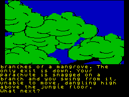 Screen from Emerald Isle