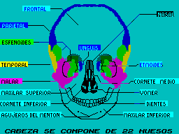 Screen from El Esqueleto Humano