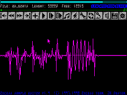 Screen from Excess Sample Editor