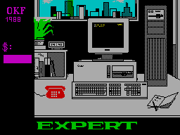 Screen from Expert