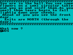 Screen from The Fantasy