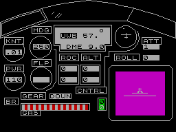 Screen from Flight Simulator